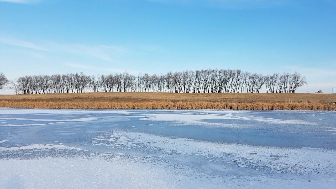 Видеоблог №32 Рождественская выпечка, свежие фрукты и случайные проекты