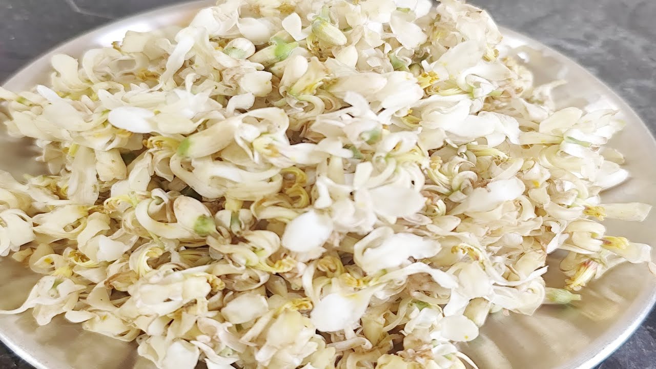 সজনে ফুল শরীরে রোগ প্রতিরোধ ক্ষমতা বাড়াতে সাহায্য করে । How to make sojne posto recipe