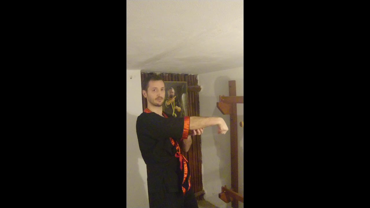 Lekcja nr 1 - Kung Fu Szczecin. Pierwsza część formy Siu Nim Tau.