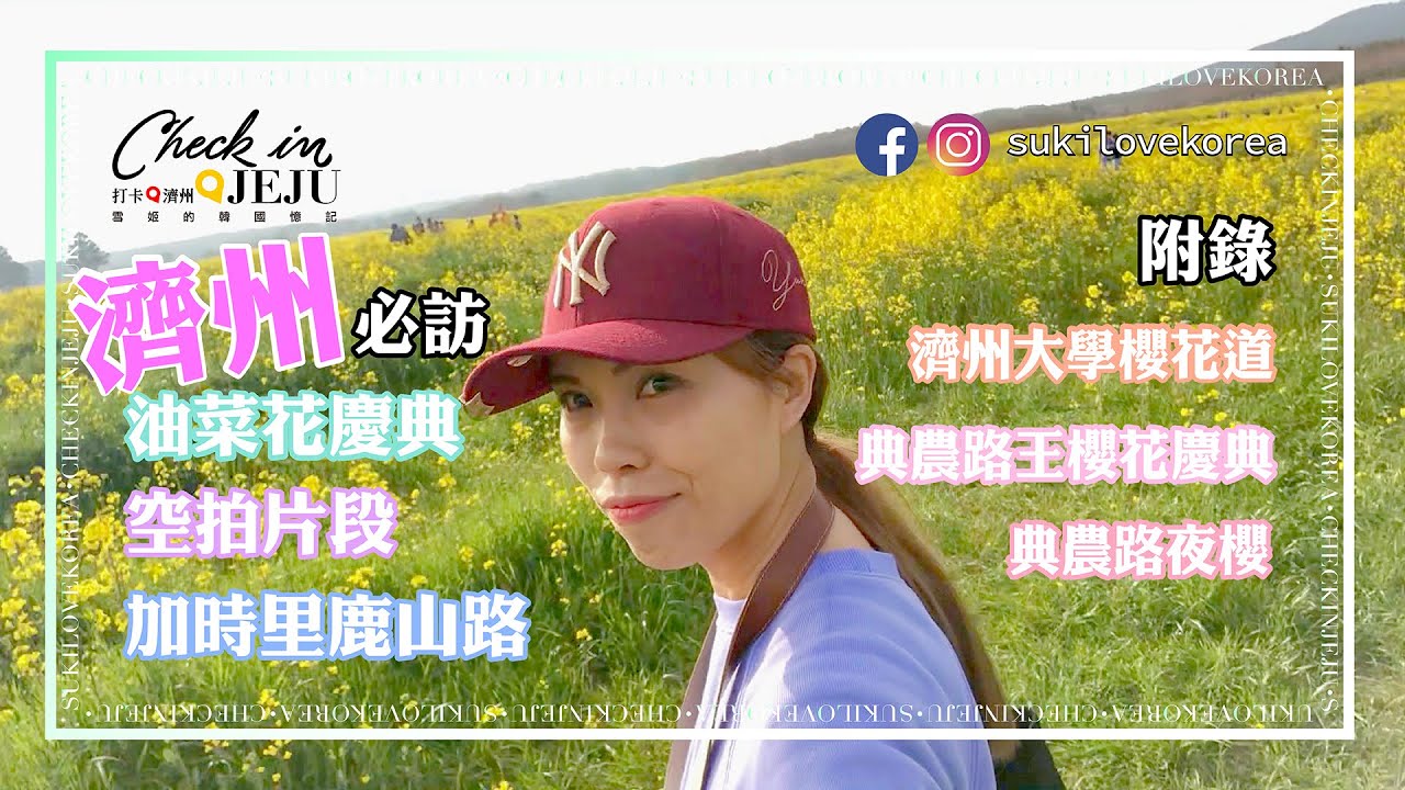[濟州/賞花] 濟州必訪油菜花慶典＋加時里鹿山路櫻花油菜花路（空拍）附濟州各櫻花道美景