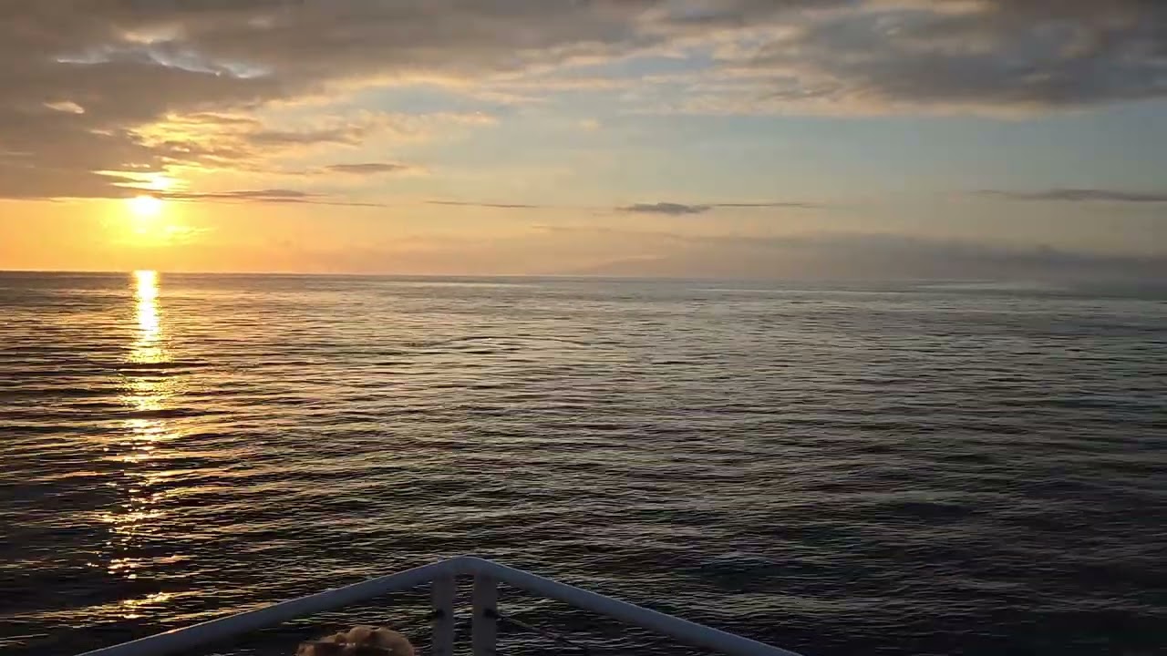 Sunset at Sea ⛵ Live Music & Golden Hour Vibes #sunset #ocean #livemusic #romantic