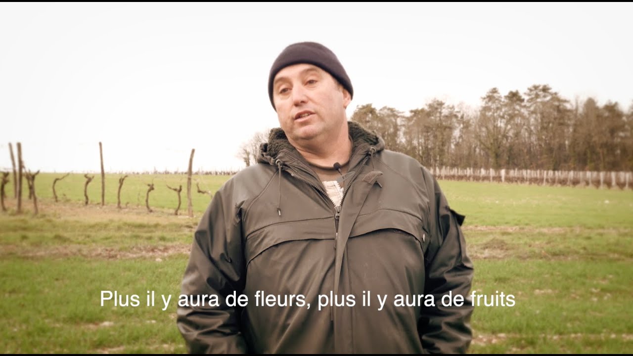 Viticulture Durable - Favoriser la biodiversit&eacute; en plantant des haies