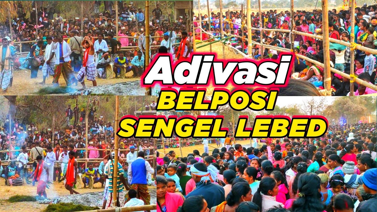 Belposi sengel lebedh 2026 | Belpush Sengel Lebed | Belposi Pata 2026 | New Santali Video 