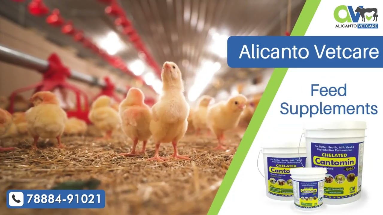 Veterinary Pharma Franchise Company | Veterinary Products Franchise | Animal Medicine Franchise