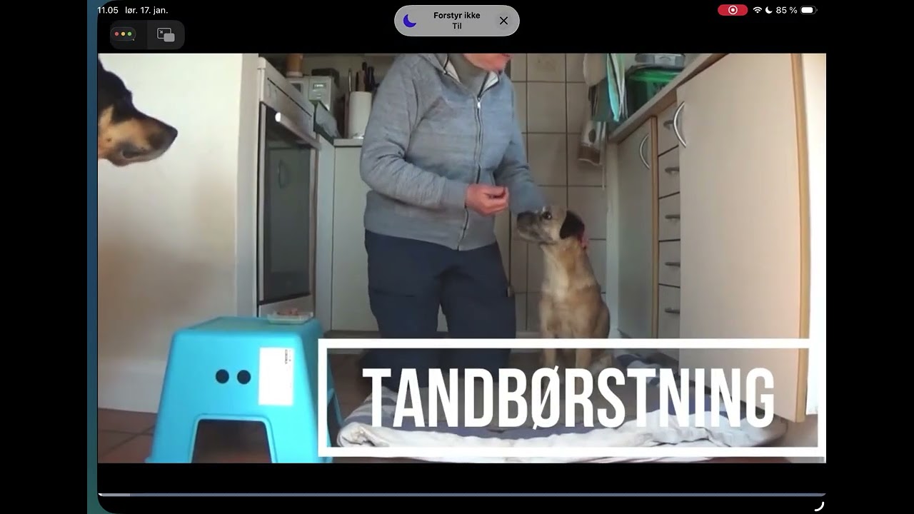 Tandbørste - H&T - 15 1 26 (10.01)