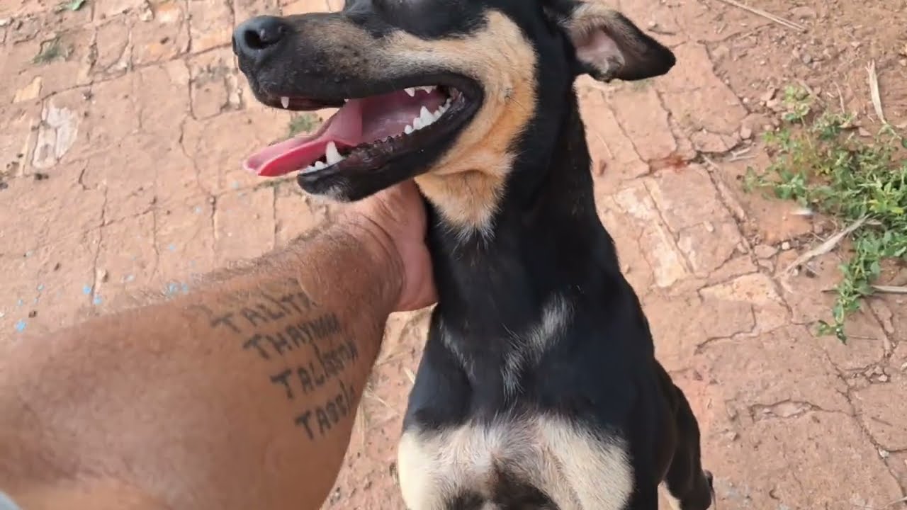 Tive um livramento hj