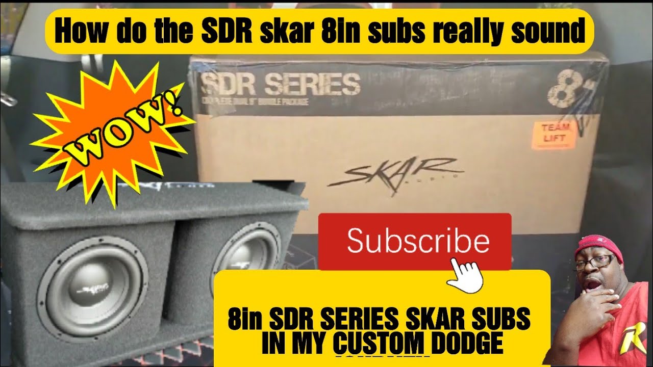 skar audio SDR 8 inch duel subwoofer box in my custom dodge journey
