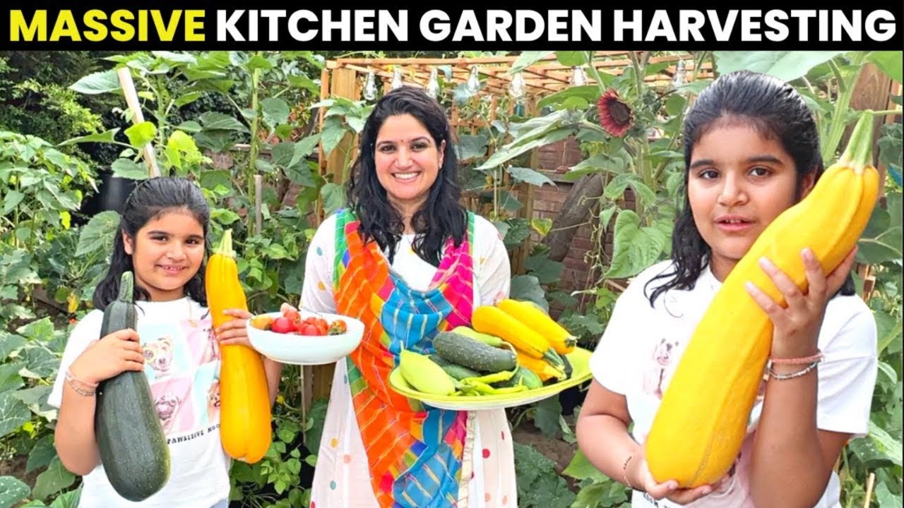 Final Harvesting of the Season 2025 in UK Kitchen Garden| Vegetable Garden in UK