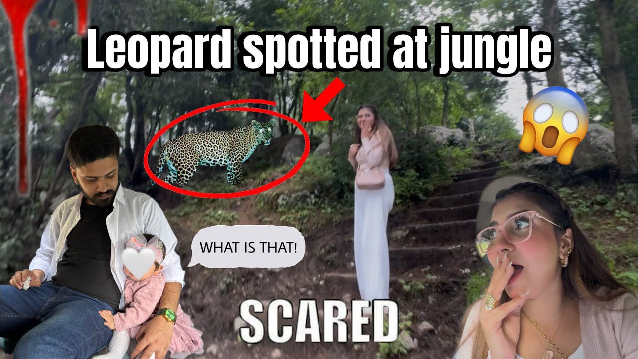 WE'RE AT FOREST 🌳 | SCARED ‼️