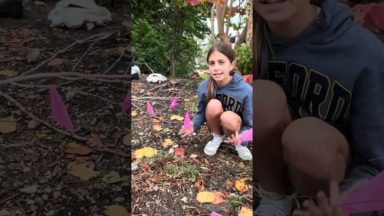 Pine Rocklands Video