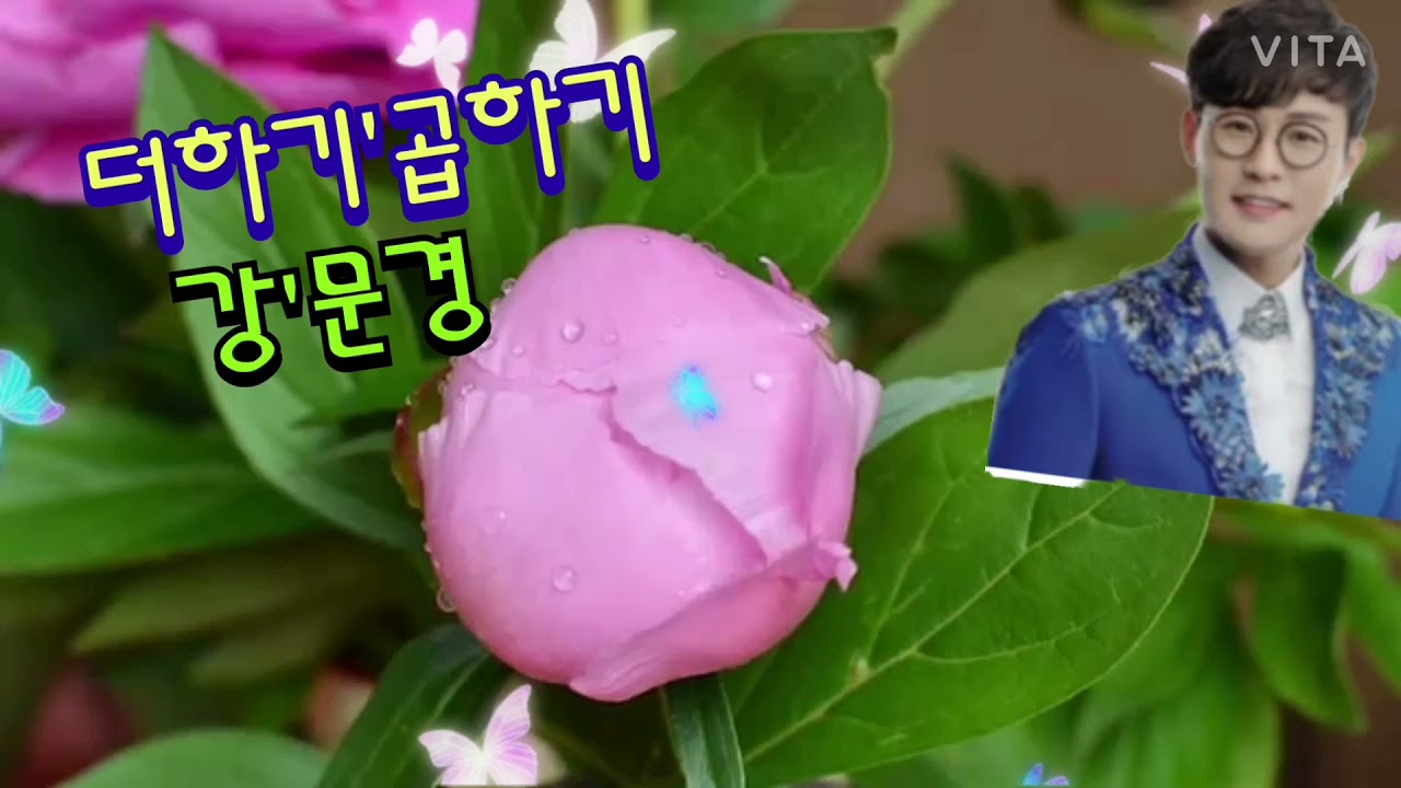 가수.강'문경'더하기'곱하기'5번'연속듣기