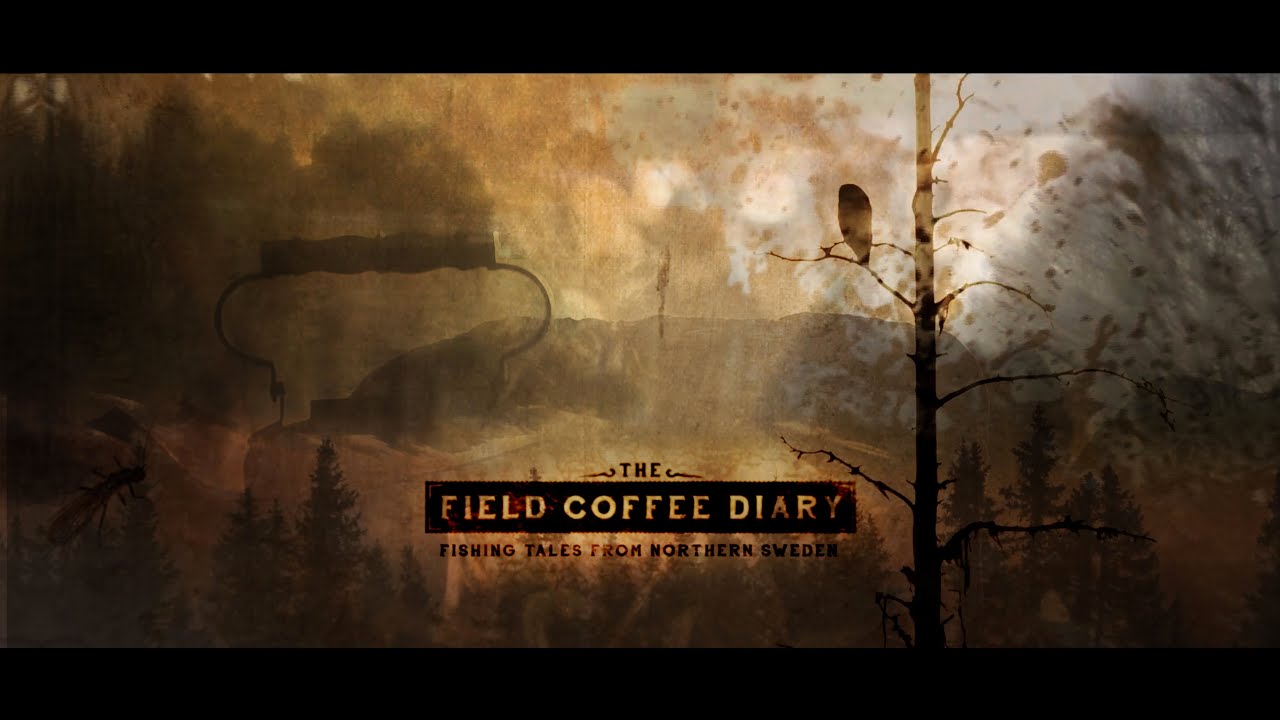 The Field Coffee Diary - Ep2 - From The Beginning