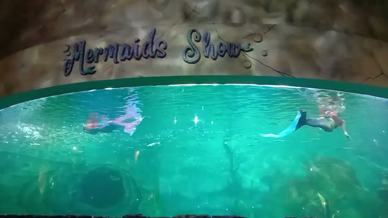 Mermaid show di Ocean Dream Ancol part 2