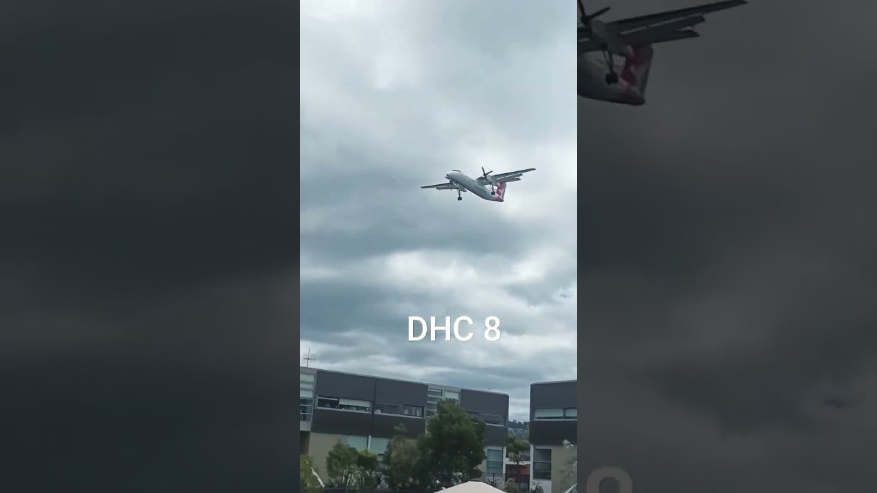 Qantas link DHC 8 at merimbula 