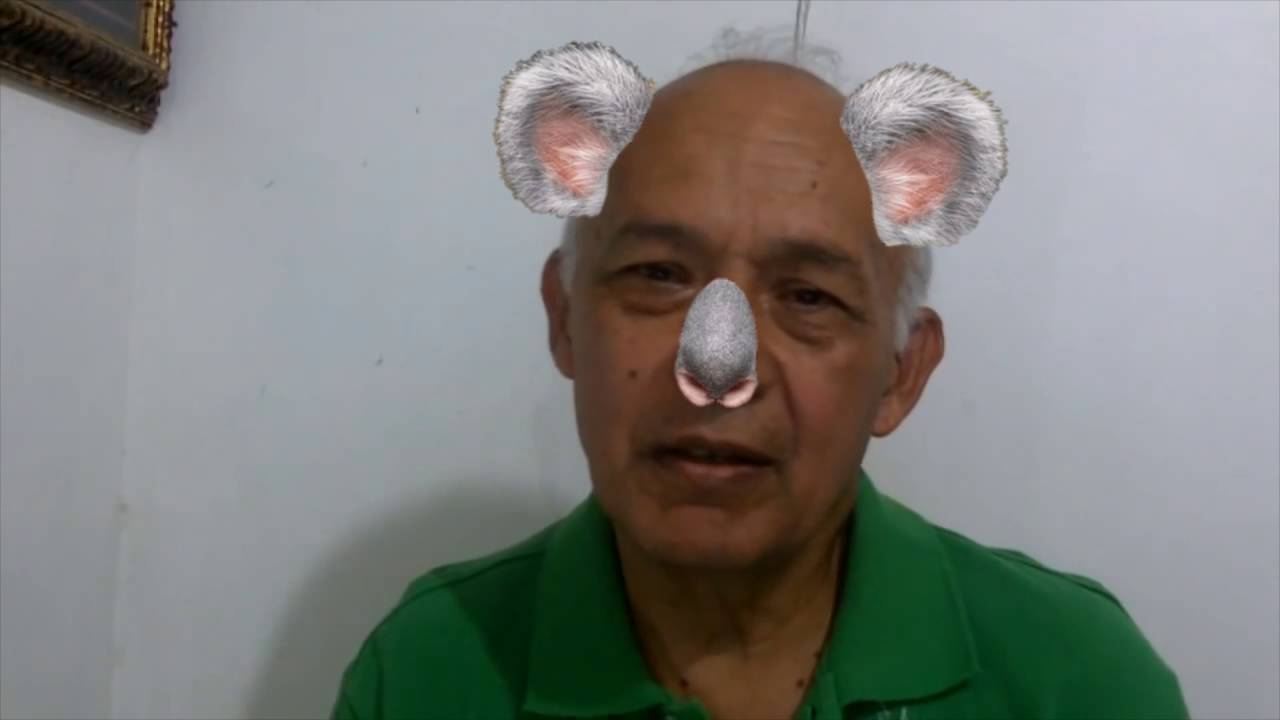 Lionware - Me Dice Que No