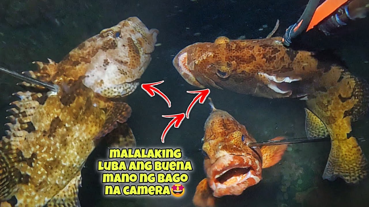 eps.415 MALALAKING LUBA ANG BUENA MANO NG BAGO NA CAMERA🤩 MEGA JACKPOT🤙 #kapanatv #gopro #viral