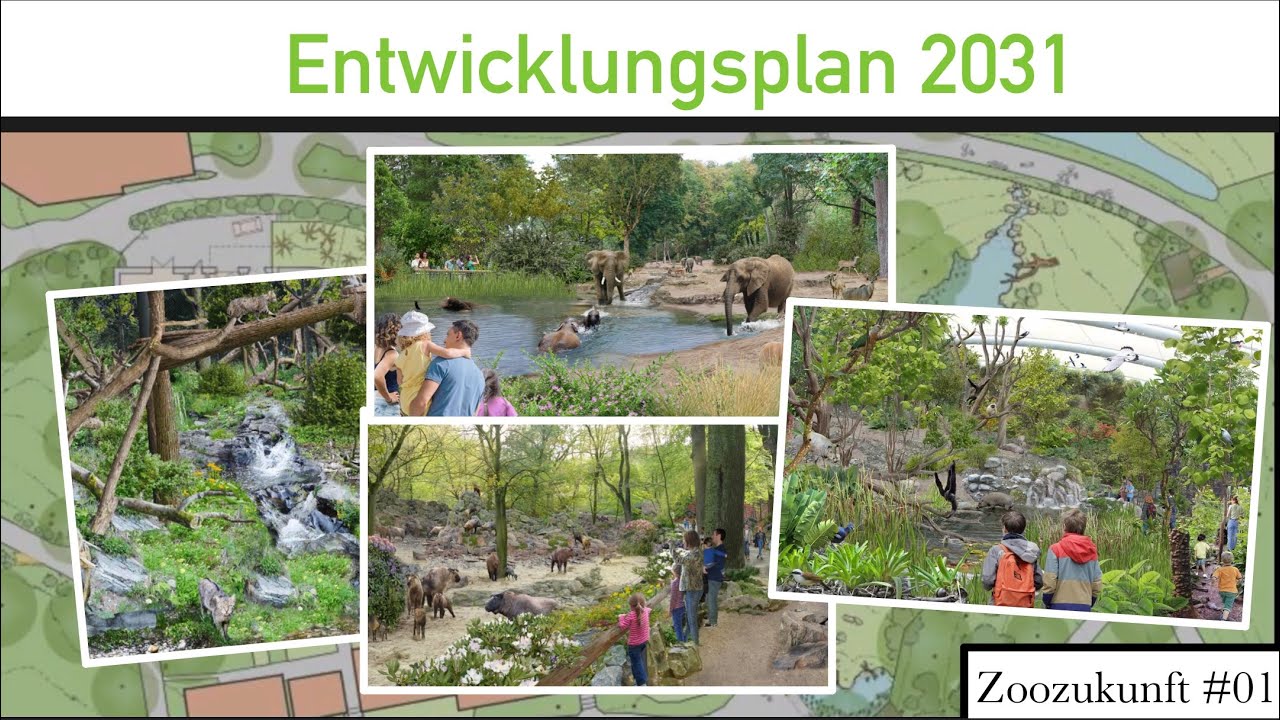 Entwicklungsplan 150 Jahre Grüner Zoo Wuppertal | Zoozukunft #01