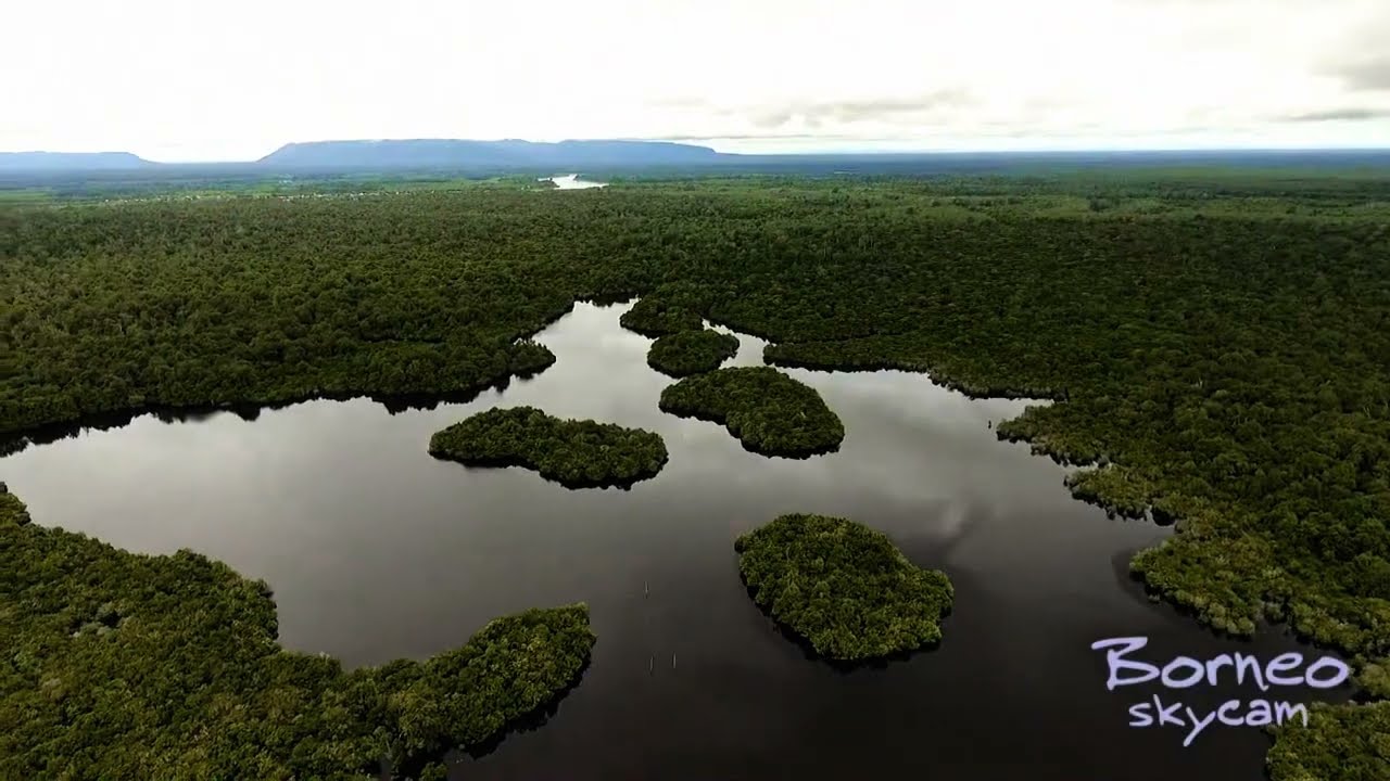 Kepala Kantor Wilayah Badan Pertanahan Nasional Provinsi Kalimantan Barat  Kunjungi Danau Sentarum