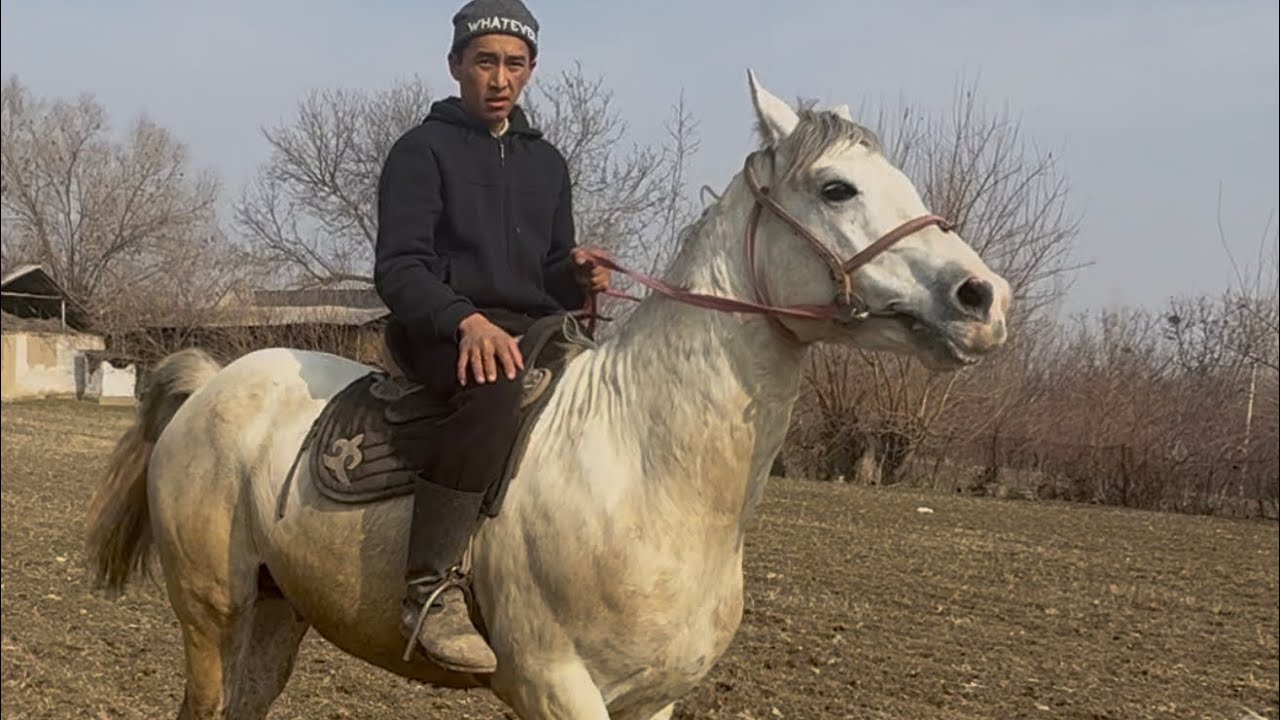 Суркоён +996-224-13-93-46 17 февраля 2026 г.