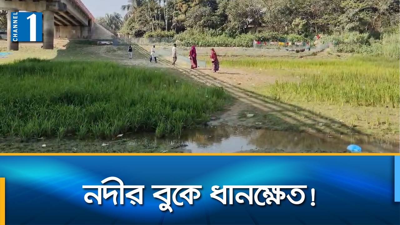 সুনামগঞ্জে পলি মাটিতে ভরাট হয়ে অস্তিত্ব হারাচ্ছে ছোট-বড় শতাধিক নদী | Channel One News