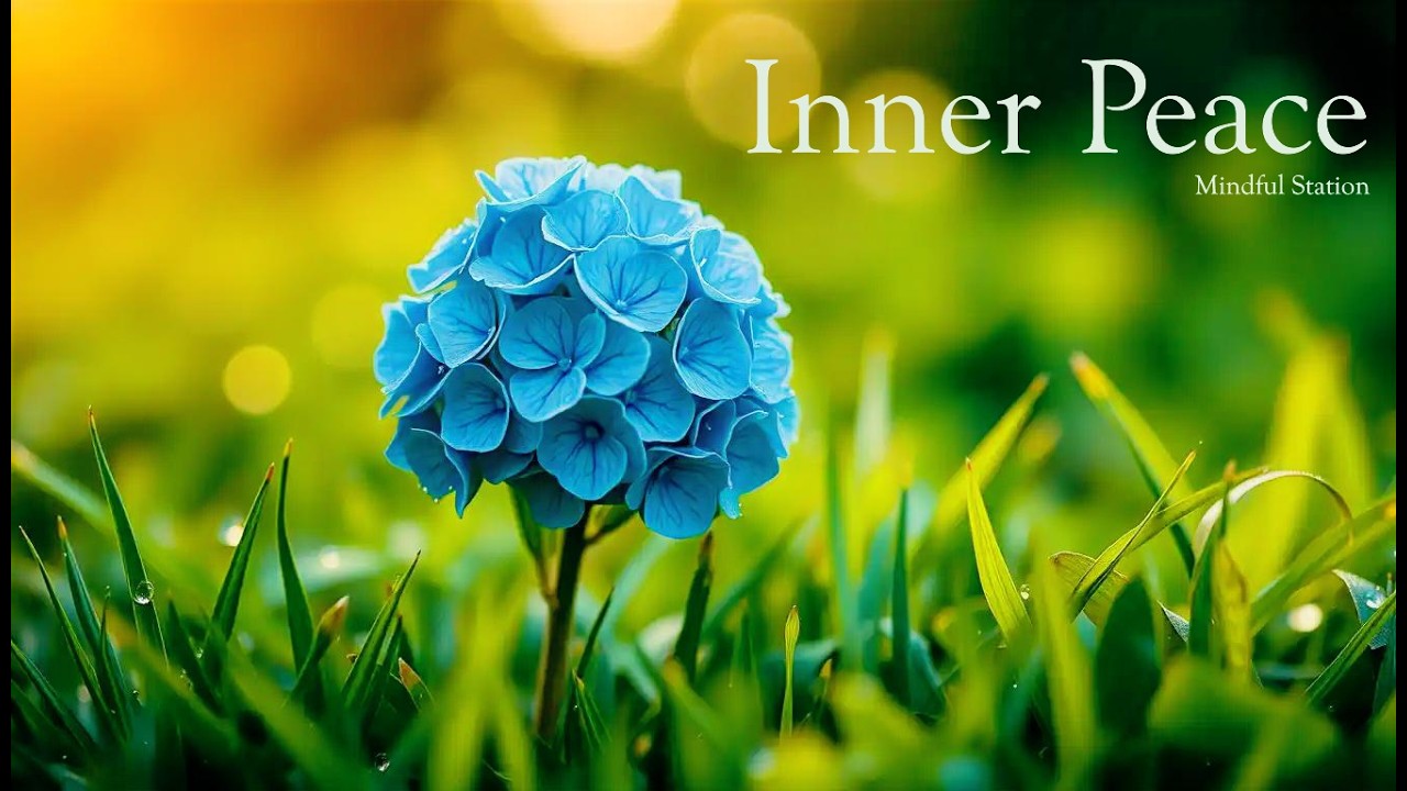 내면의 평화를 위한 피아노 선율 | Piano Solo for Inner Peace 🎵  [PlayList]  Inner Peace