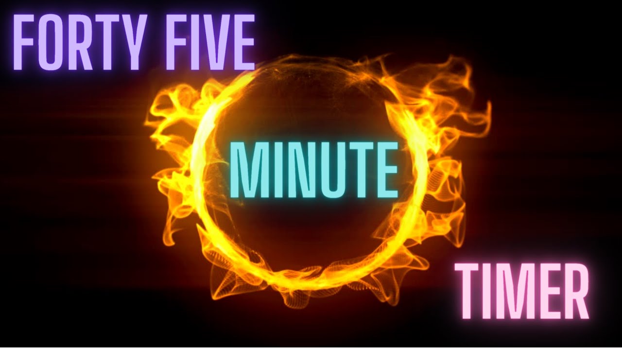 FORTY FIVE MINUTE TIMER
