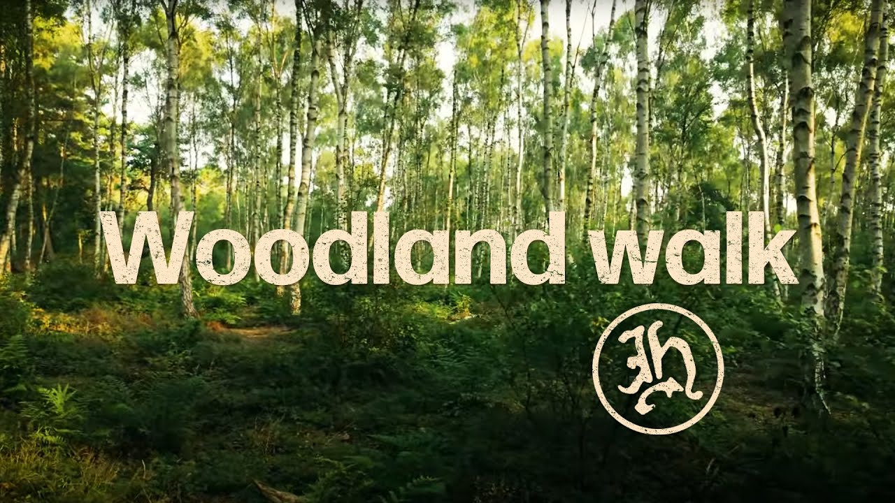 English Woodland Walk - Exploring a Tranquil Wood | Happy Trundler Walks | 4K