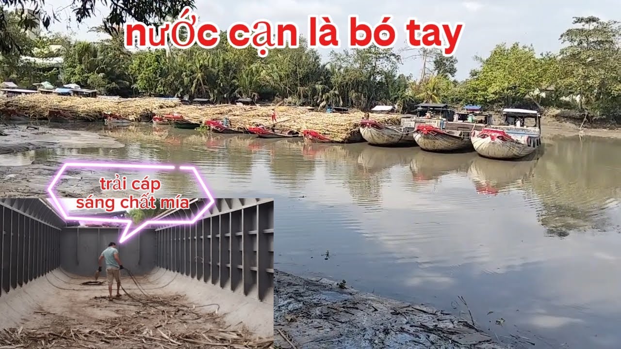 Nhà máy đường này quá bất tiện khi nước rút