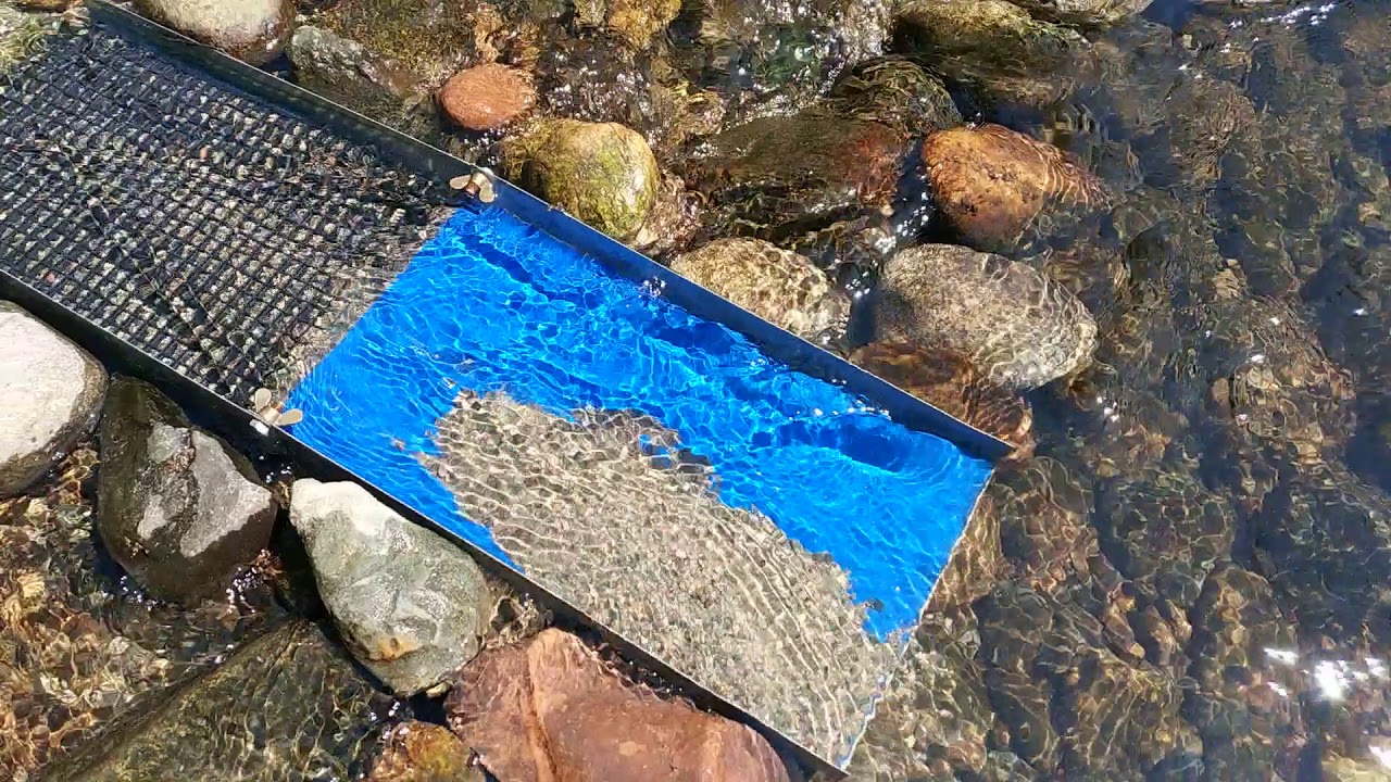 Промиване на МИКРОННО Самородно речно Злато , с перфектен и елементарен улей
