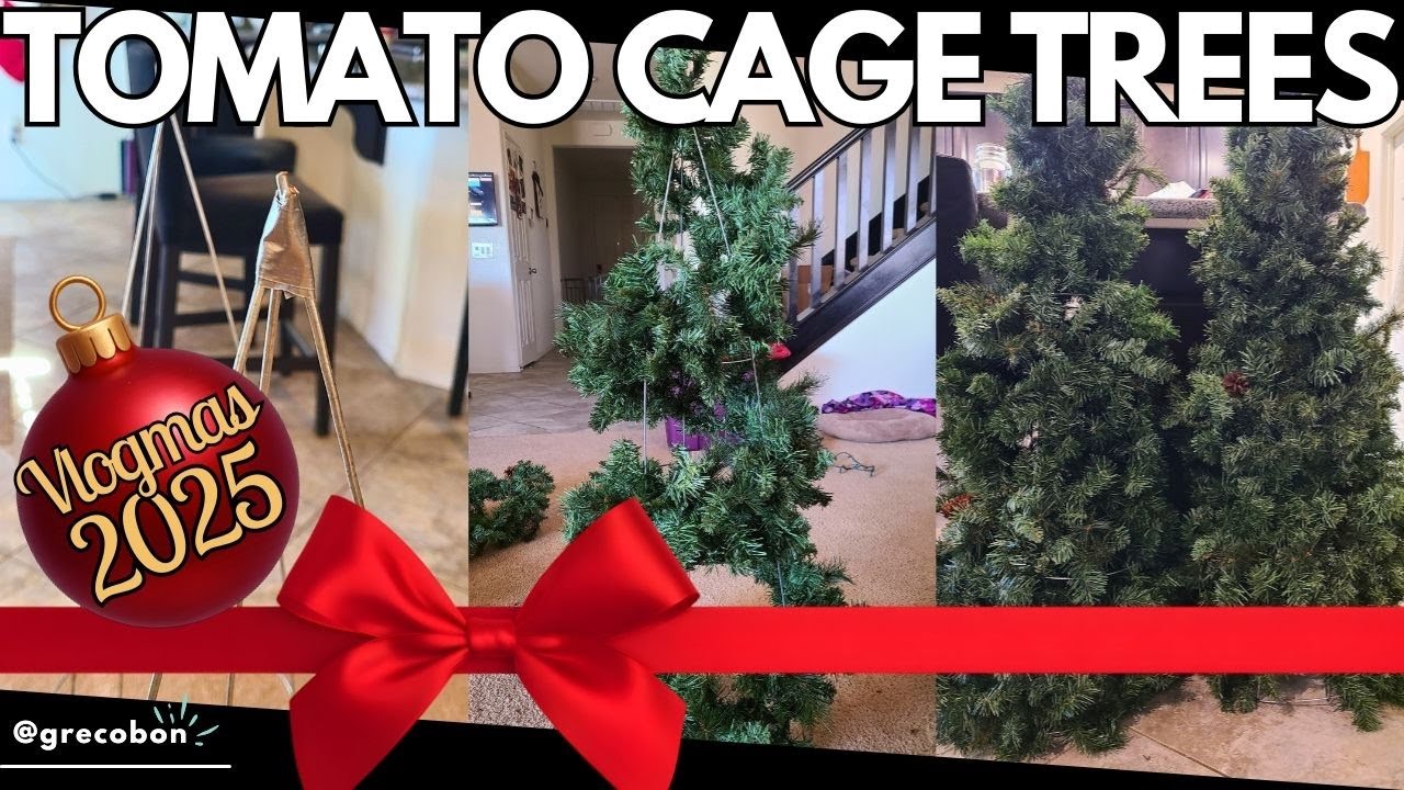 Vlogmas, день 3: Превращаем томатные клетки в рождественские ёлки ​​✨ Уличные самоделки