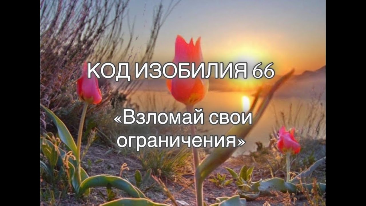 КОД 66 Марафон Изобилие часть 1