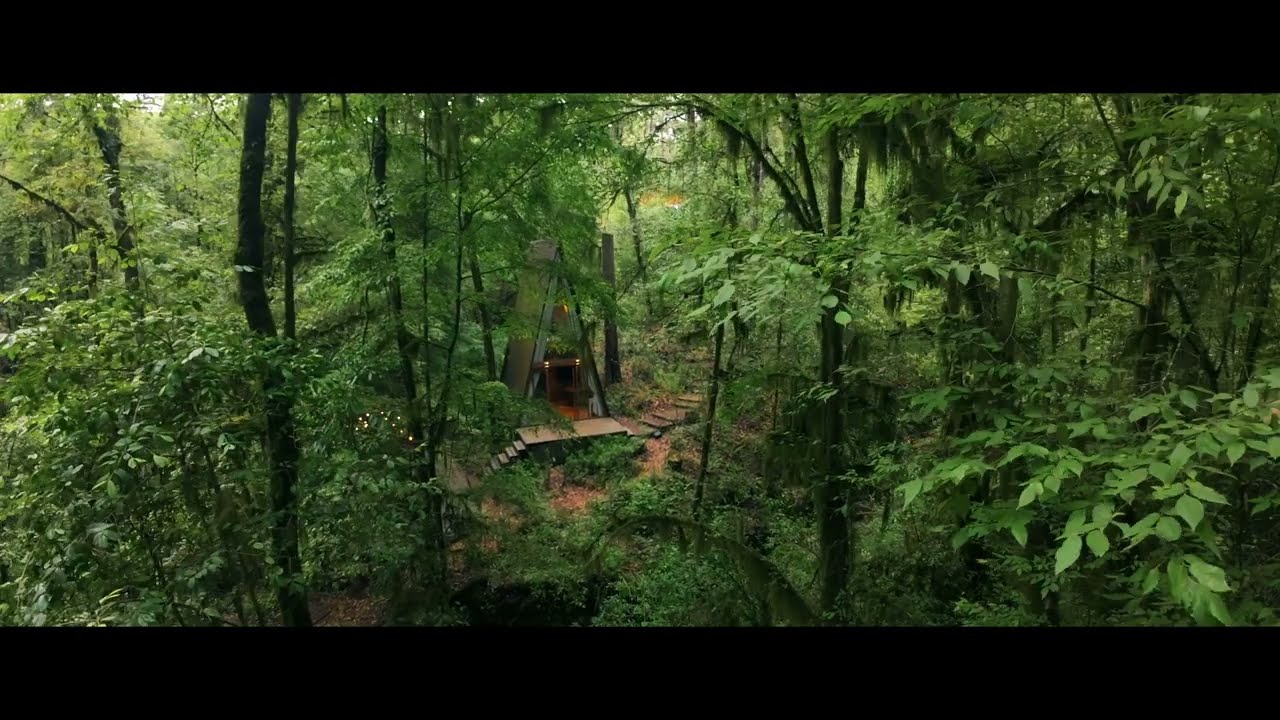 Wander Cabins: el lugar que redefine el glamping en M&eacute;xico