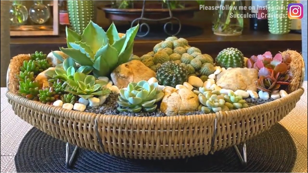 Succulent Arrangement in Wicker Basket