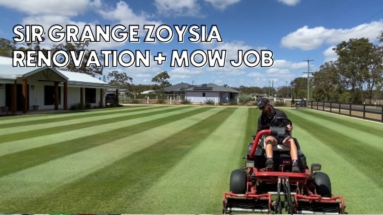 lawn update/mow job + rootmaxx app