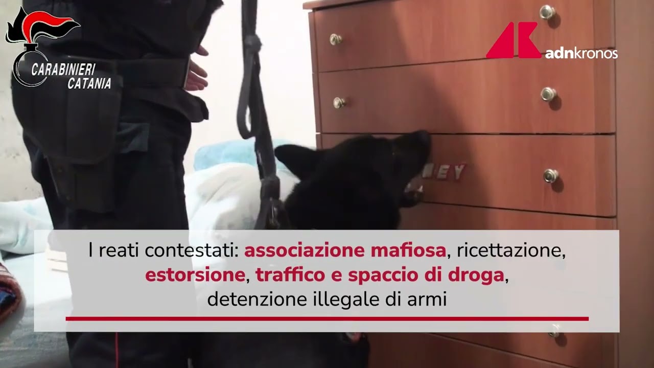 Droga, estorsioni e furti: maxioperazione carabinieri a Catania