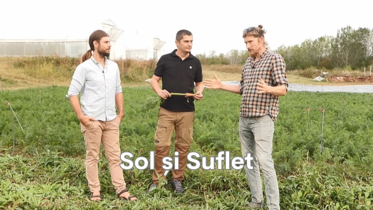 🌳De vorbă despre păduri. Ep. 10: Sol și Suflet (Invitați: Ionuț Bădică & Alex Tudose)