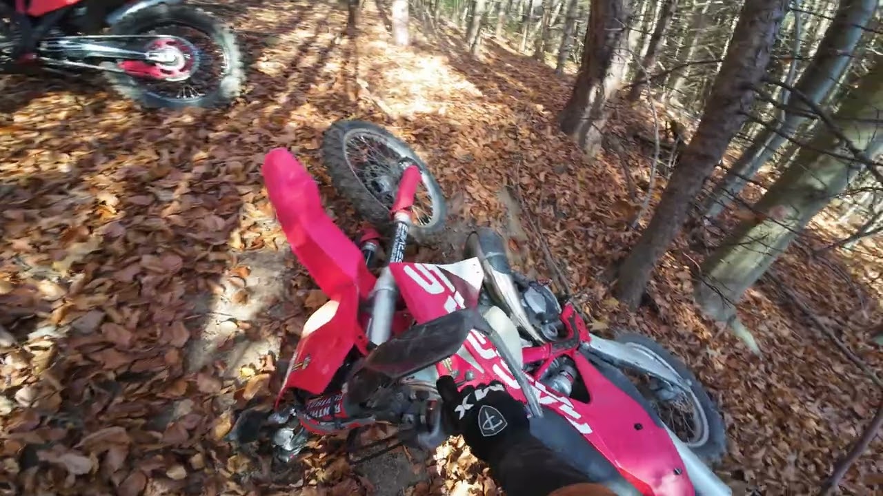 On the Edge of Dirt - Enduro 2024.