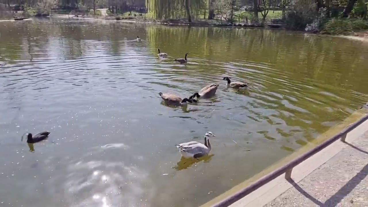 Lac de Saint-Mandé/Walking Tour/Paris,France