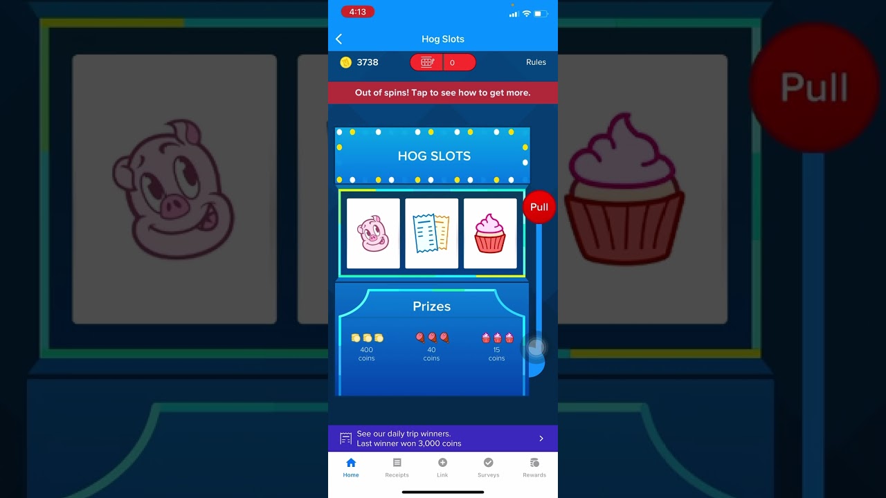 Receipt hog tutorial