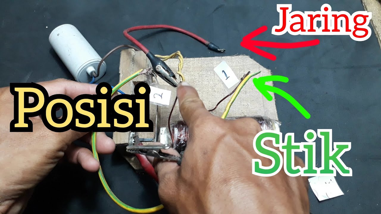 posisi setik dan jaring, setrum ikan platina tipe primer