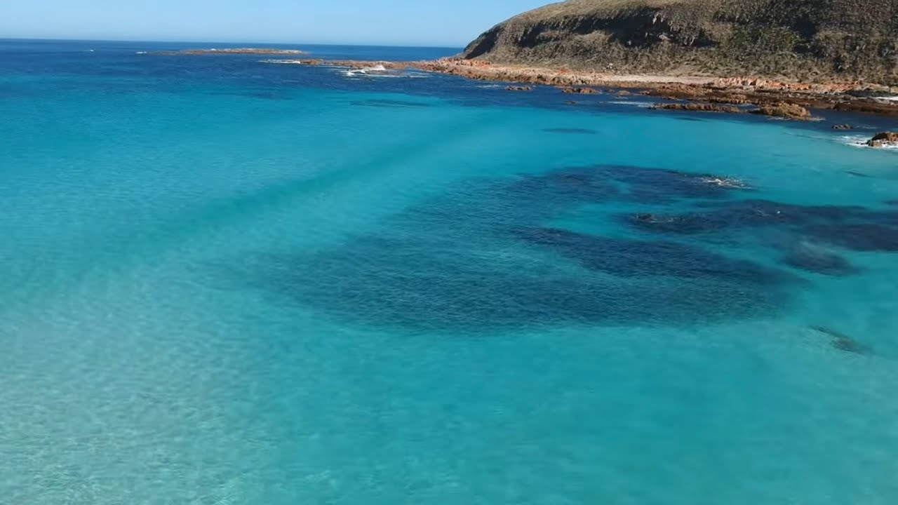 A Salmon a cast! YORKE PENINSULA BEACH FISHING