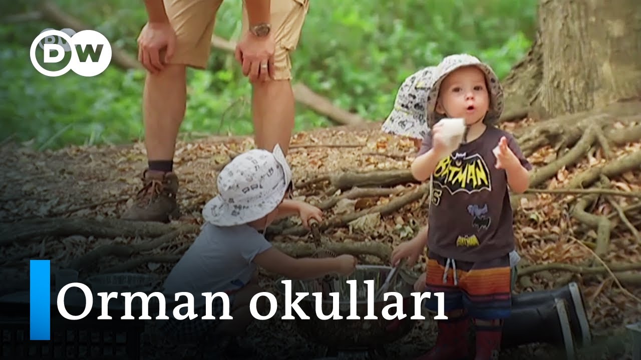 Avustralya'nın orman okulları: Çocukların beceri ve özgüvenini artırıyor-  DW Türkçe