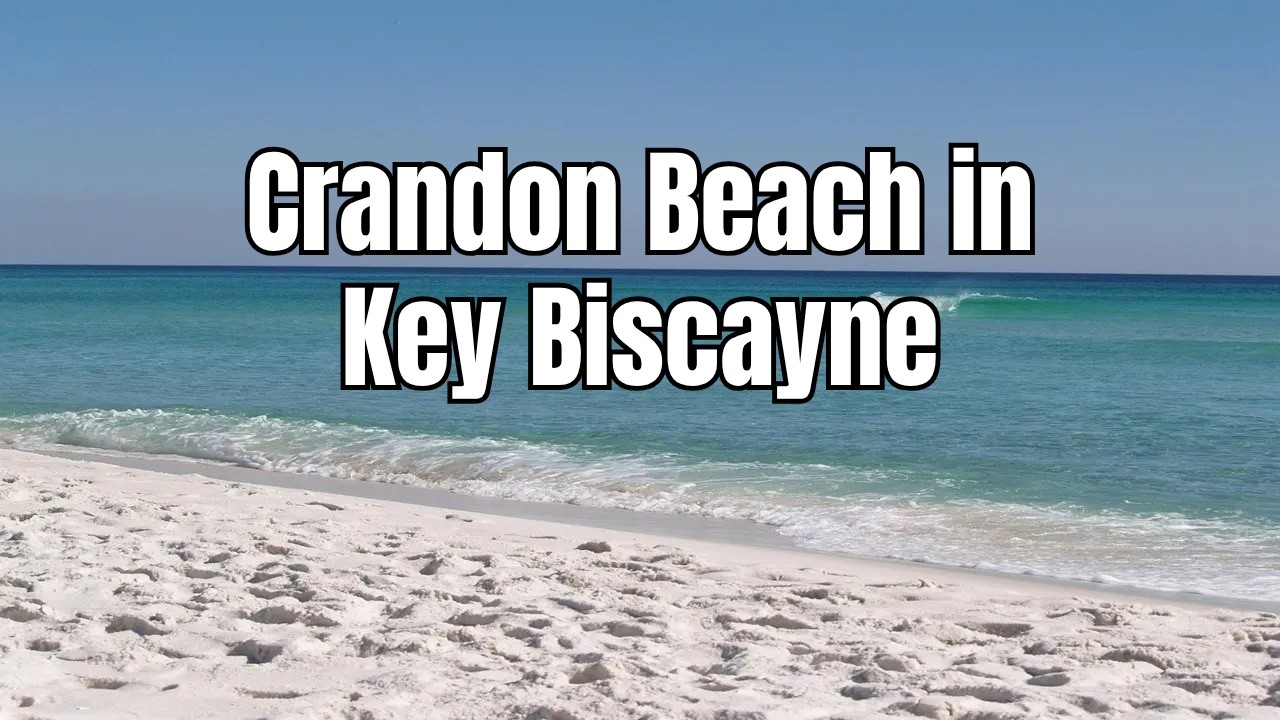 Visiting Crandon Beach in Key Biscayne, Florida