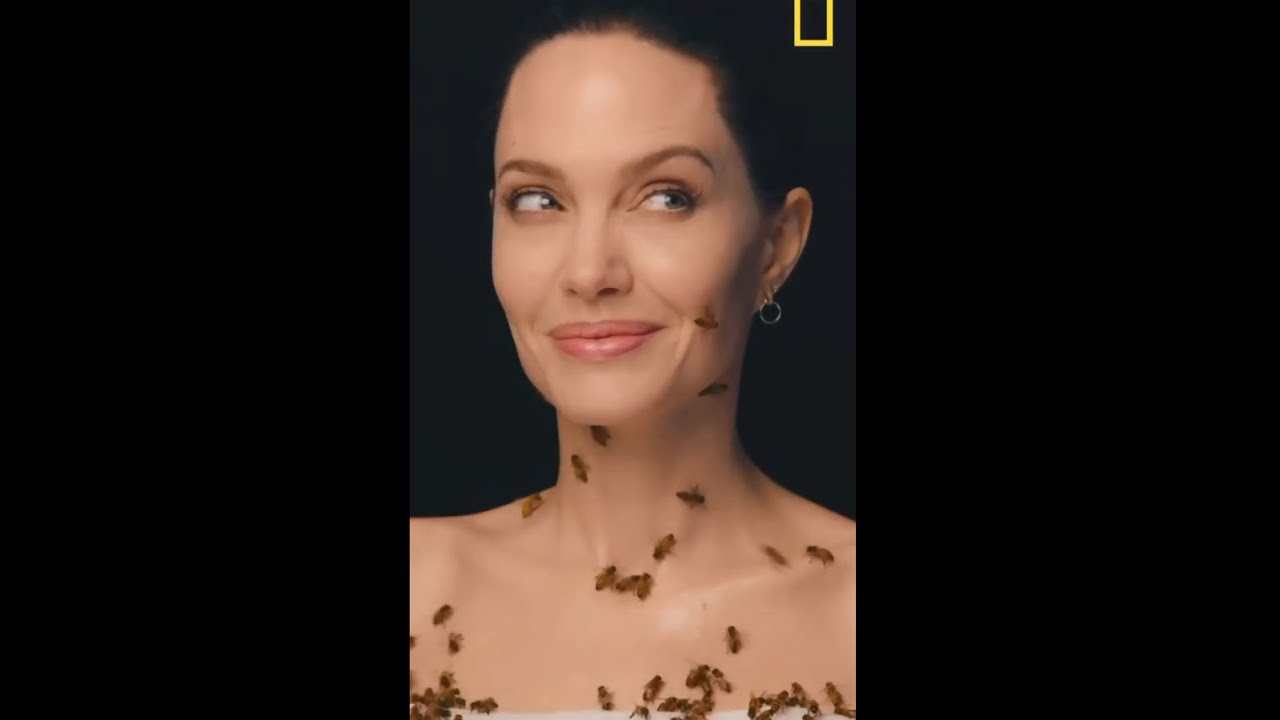 World Bee Day with Angelina Jolie