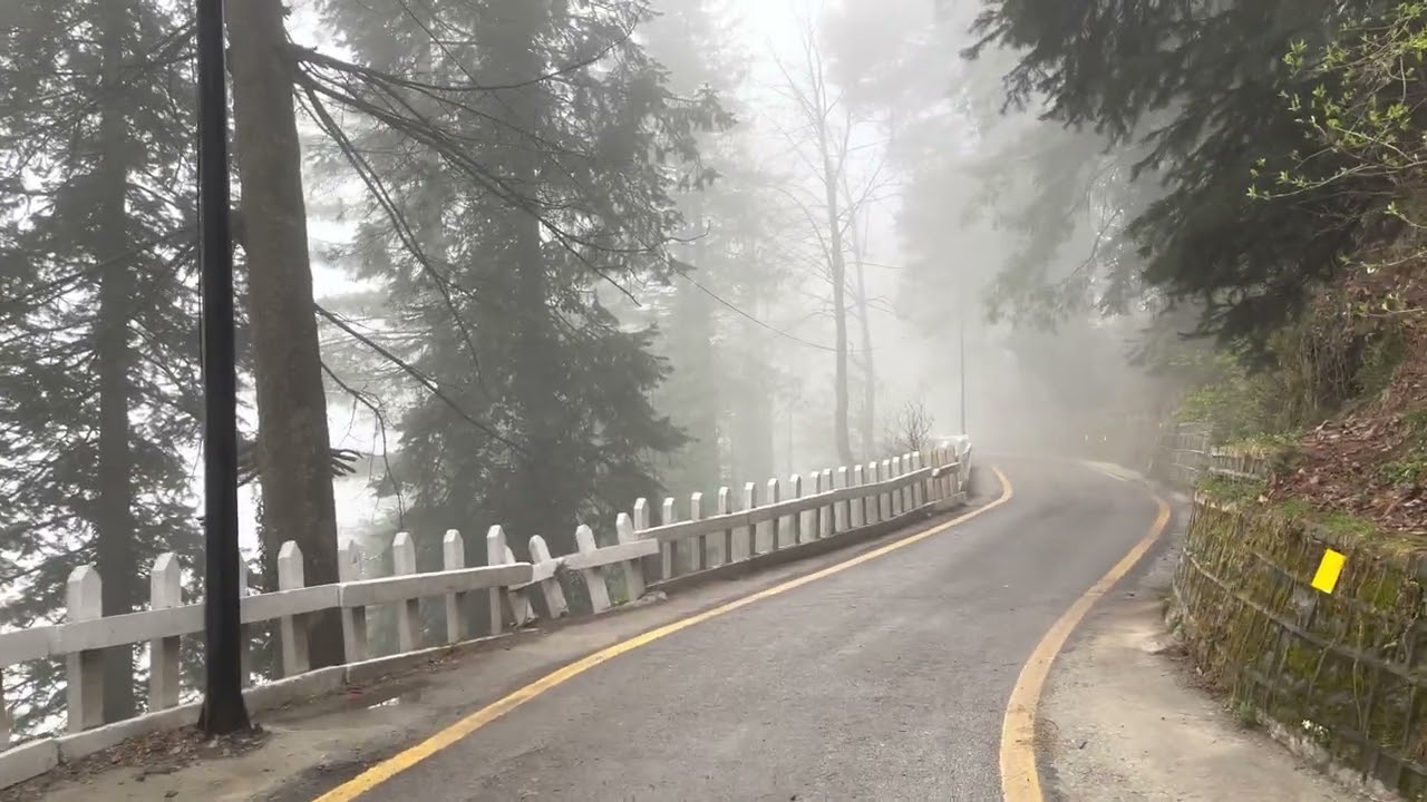 Walking Through the Governor House Murree Track - A Virtual Tour
