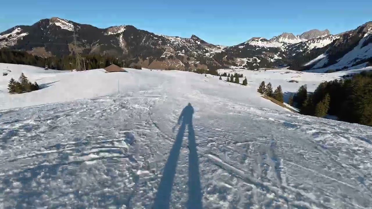 Sörenberg 5+4b no brakes