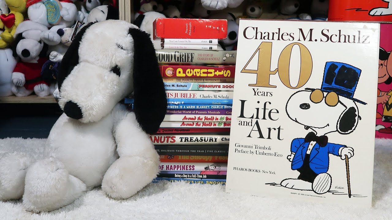 Fill the Bookshelves! Mystery Snoopy and Peanuts Books Lot  | CollectPeanuts.com