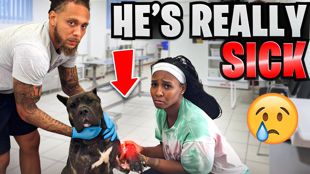 OUR DOG SNOOP GOT REALLY SICK WHILE WE WERE AWAY 💔