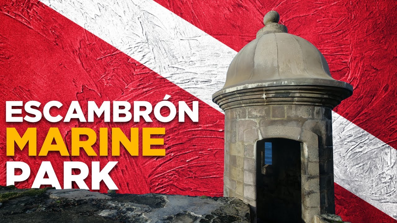 Scuba Diving Puerto Rico (Discover Atlantis in Escambron Marine Park)