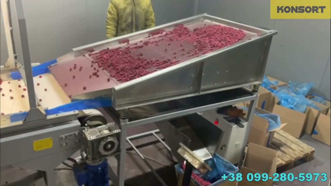 Вібросито для відділення грису від замороженої малини